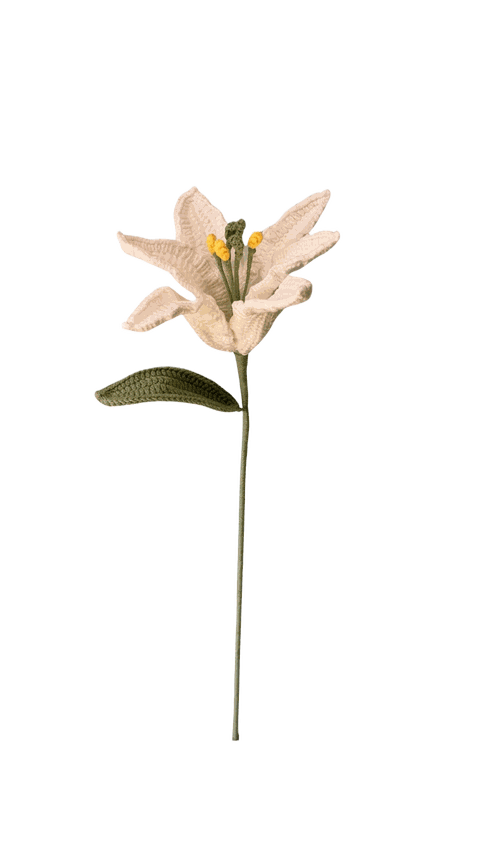 Weiss — gehäkelte Blume