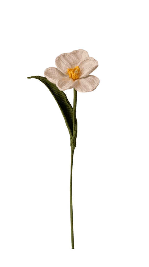 Weiss, gelbe Mitte — gehäkelte Blume